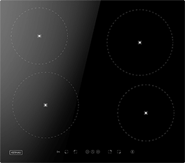 Induktionsfeld Reparatur Butzbach